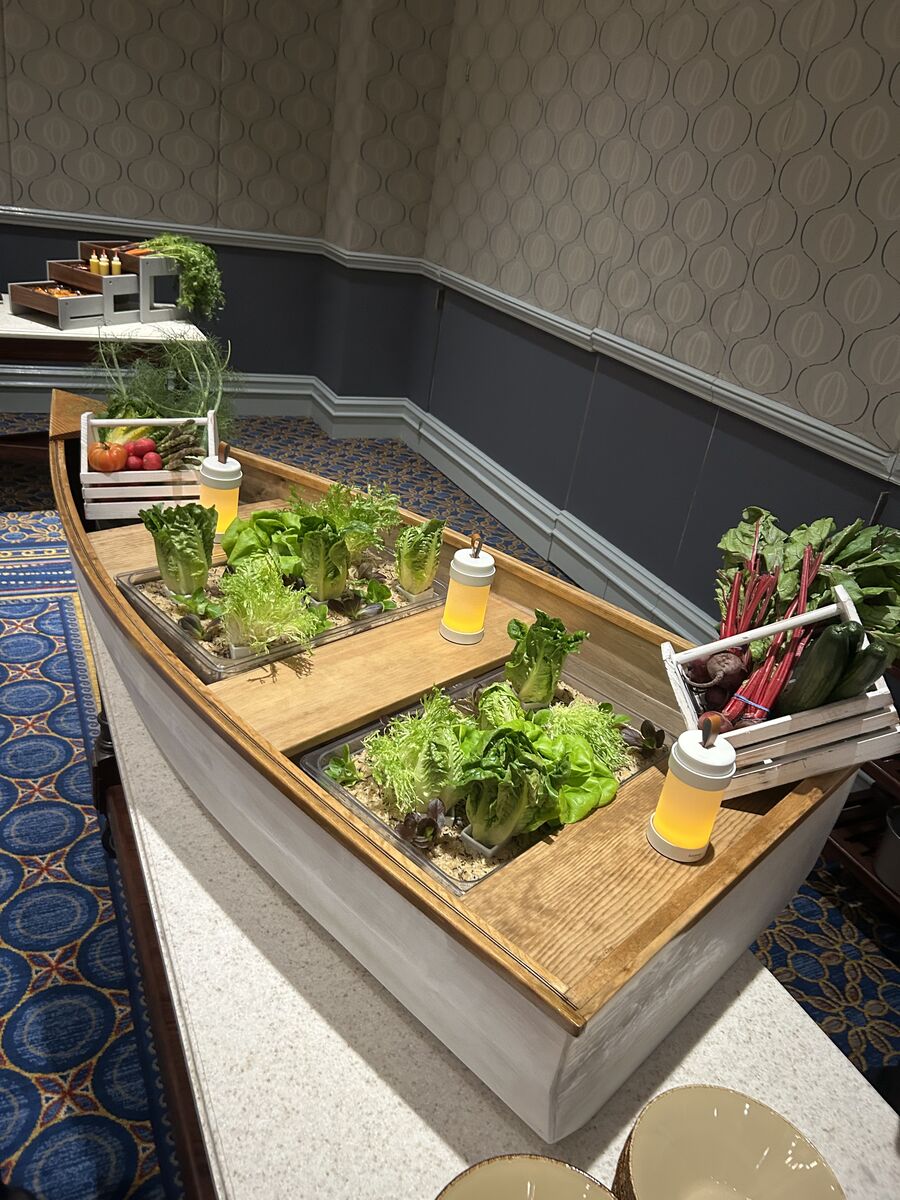 Living garden station built in a wooden boat with growing lettuces and beets